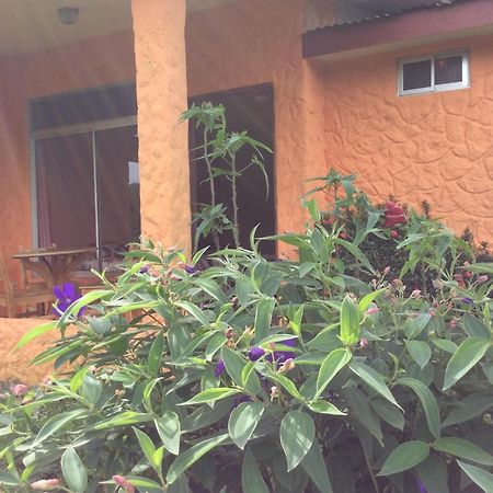 Cabinas Los Guayabos 호텔 La Fortuna 외부 사진