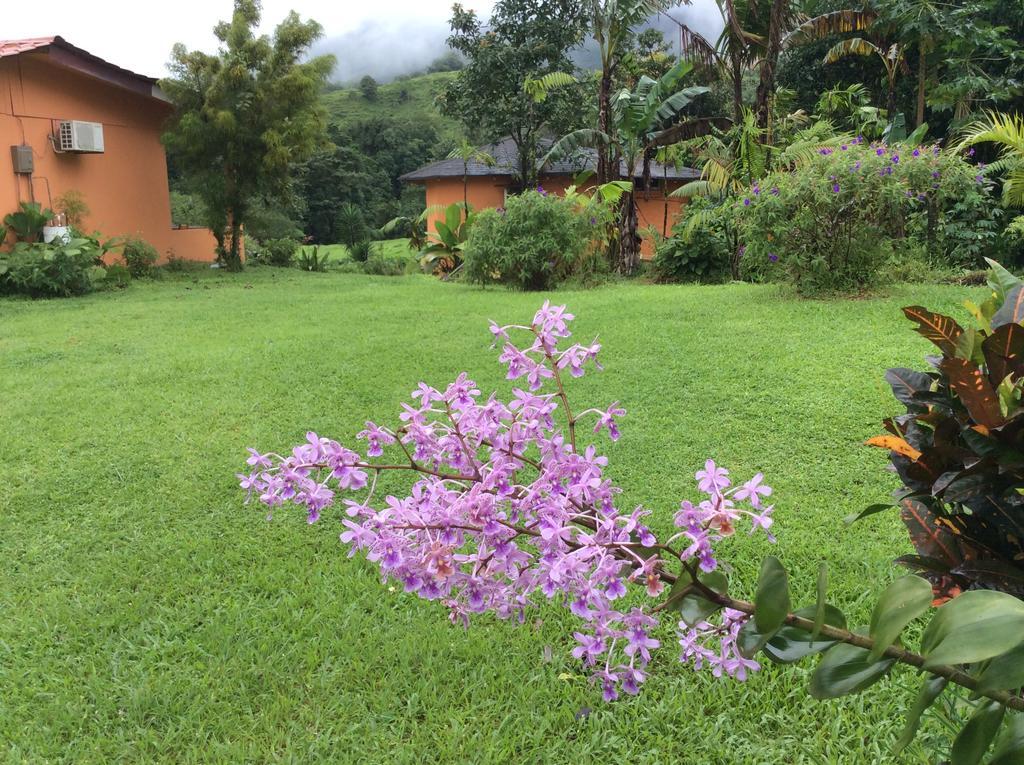 Cabinas Los Guayabos 호텔 La Fortuna 외부 사진